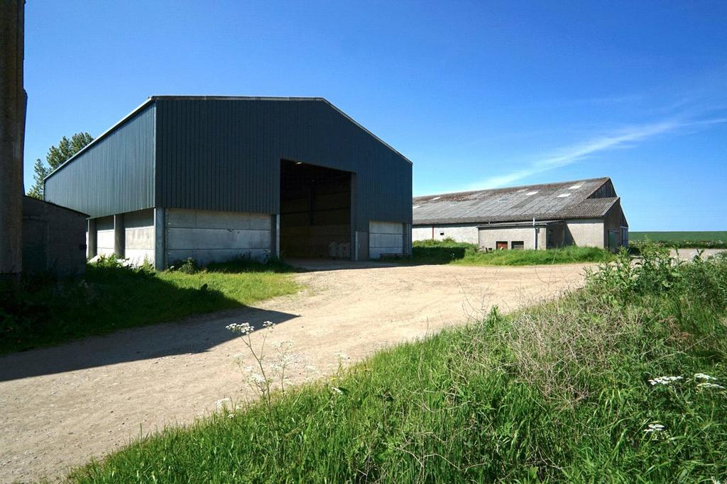 Lot 2 - Monaughty