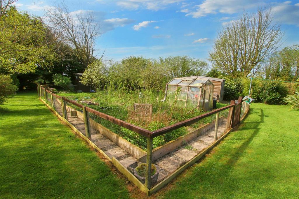 Veg plot