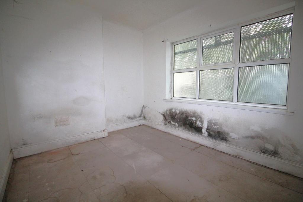 IMG 6257v1.JPG