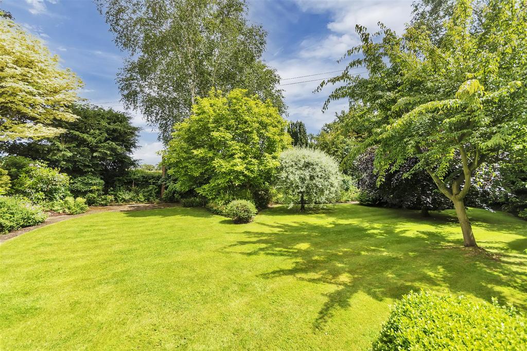 Garden2.jpg