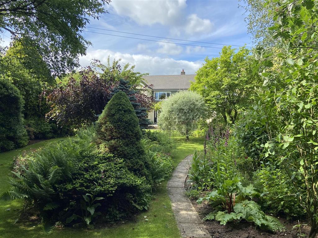 Garden1.JPG