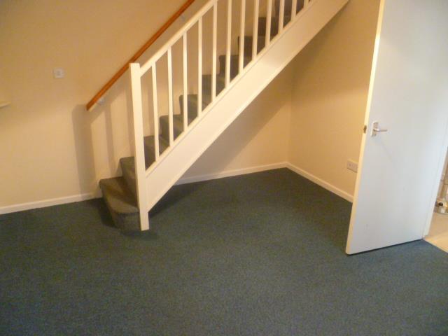 P1250998.jpg