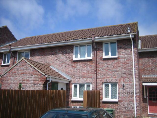 18 larkspur close.JPG