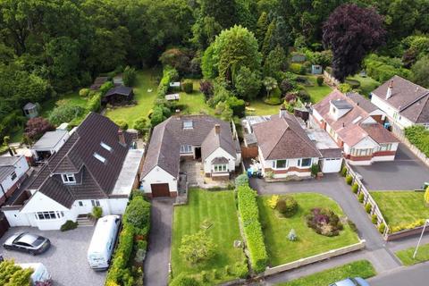 3 bedroom detached bungalow for sale, Delph Road, Wimborne, BH21 1RS