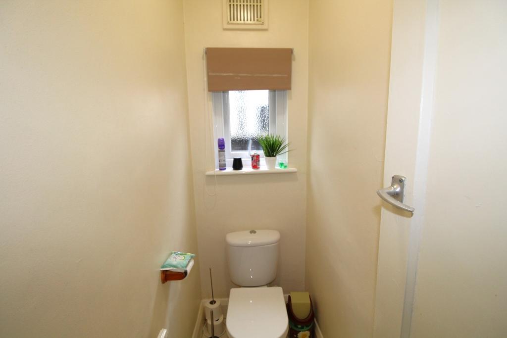 Img 1130