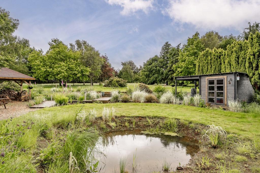 Pond