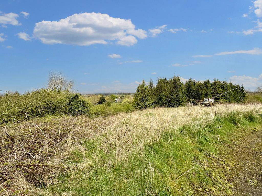 Surround Land