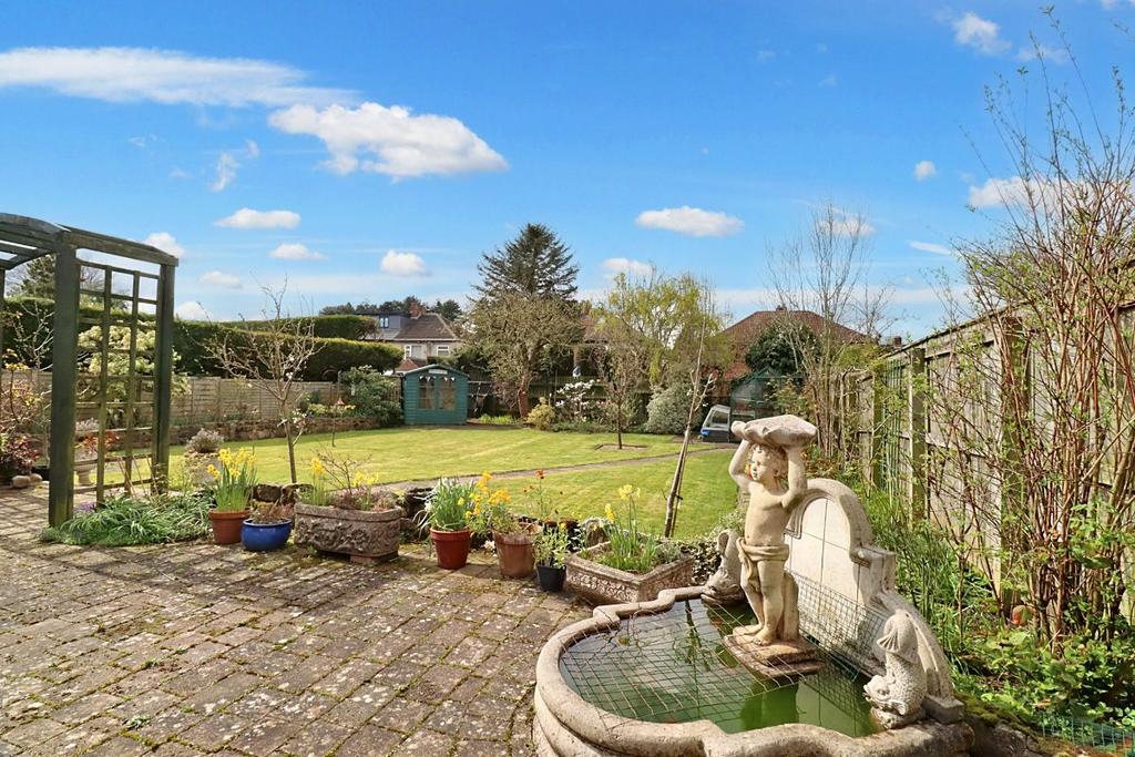 Rear garden II