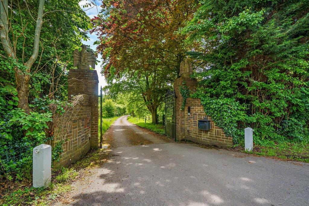 Driveway