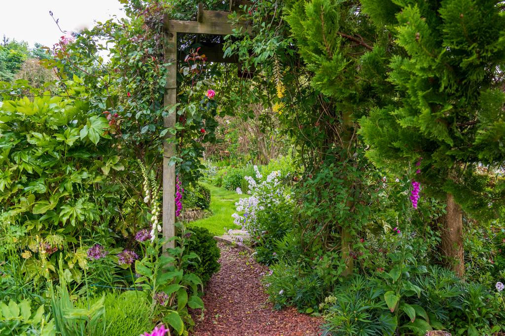 Greystoke House Rothbury-70