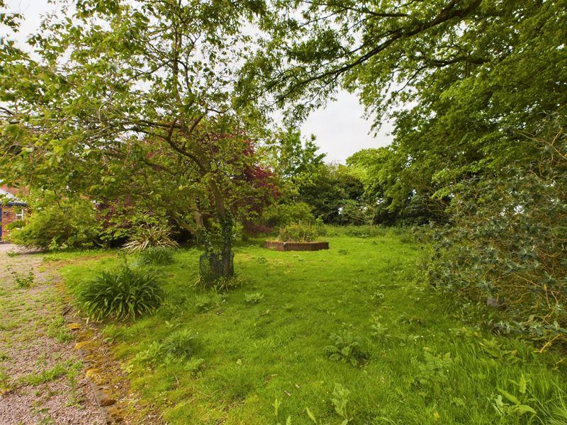 Grounds