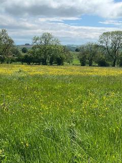 Land for sale, Grindon, Leek