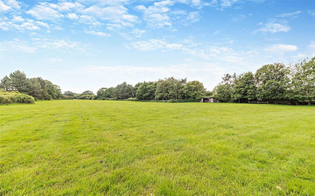 Grounds