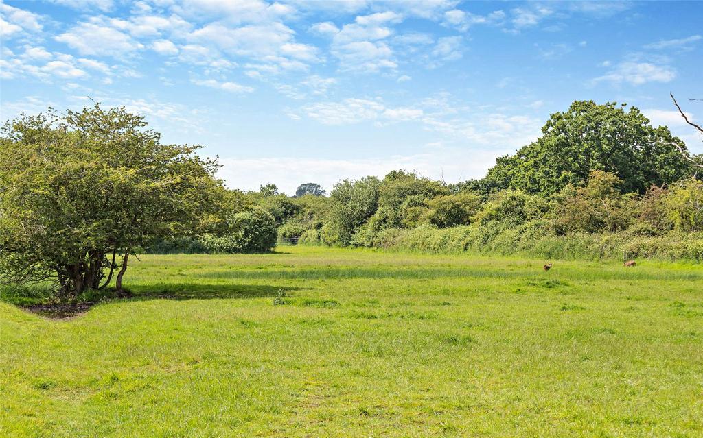 Grounds