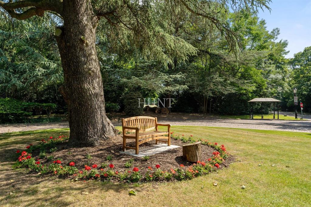 Garden view