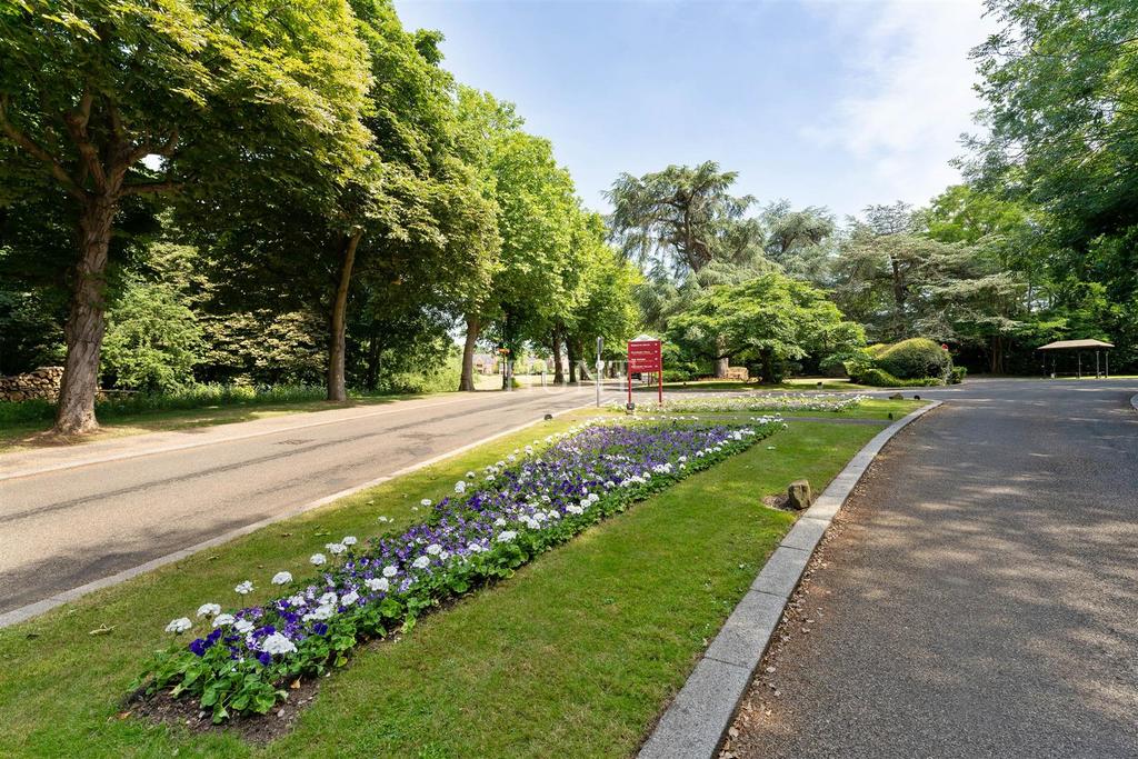 Driveway view