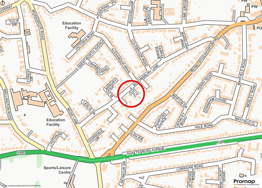 Street Plan