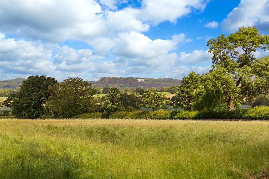 Land and Views