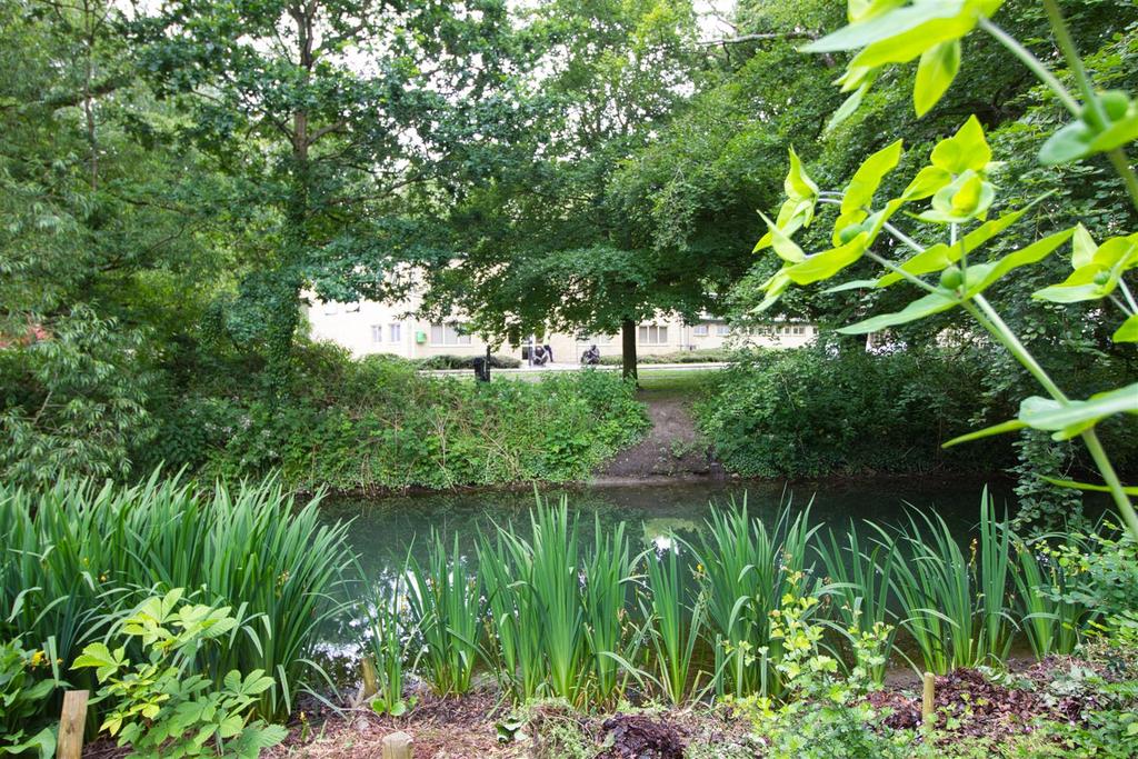Riverside view