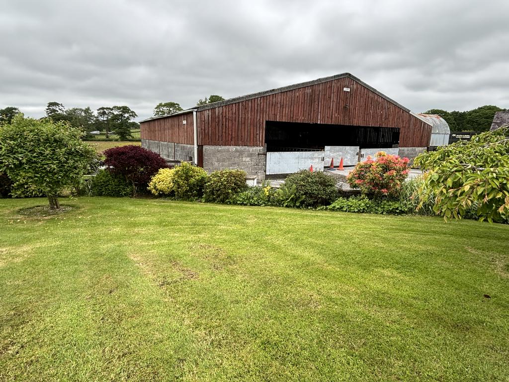 Cow shed