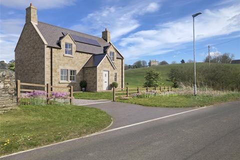 Land for sale, ELSDON, NORTHUMBERLAND, NE19