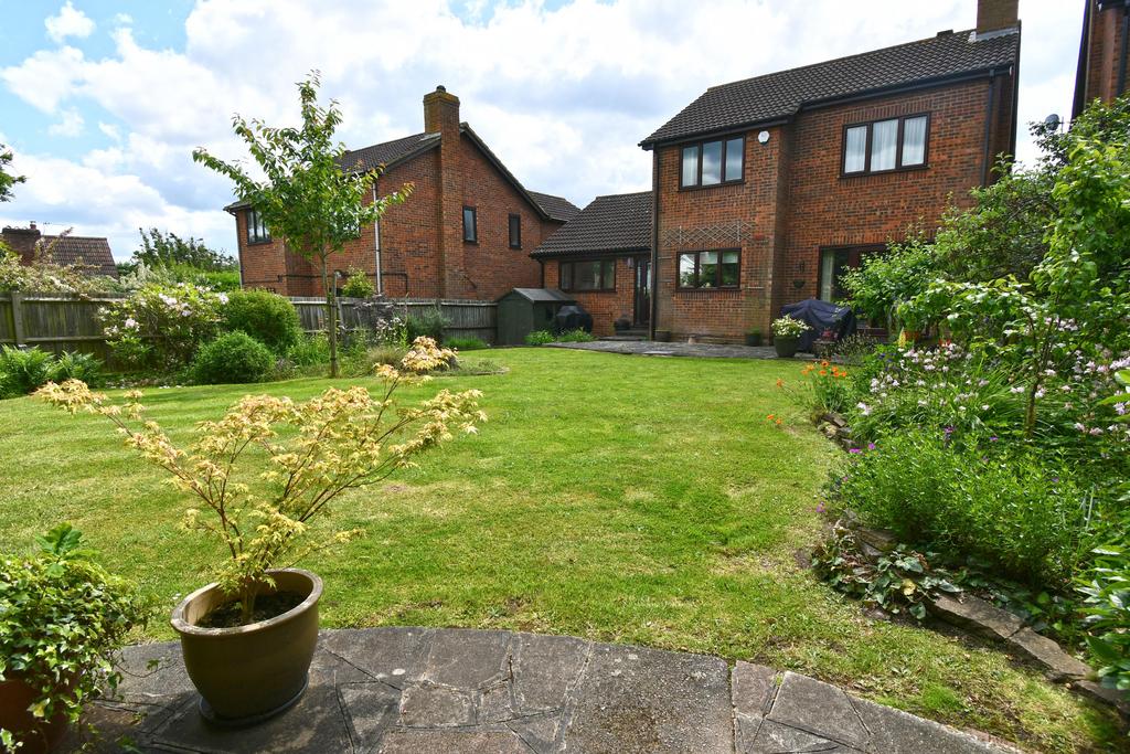 Garden And Rear Elevation