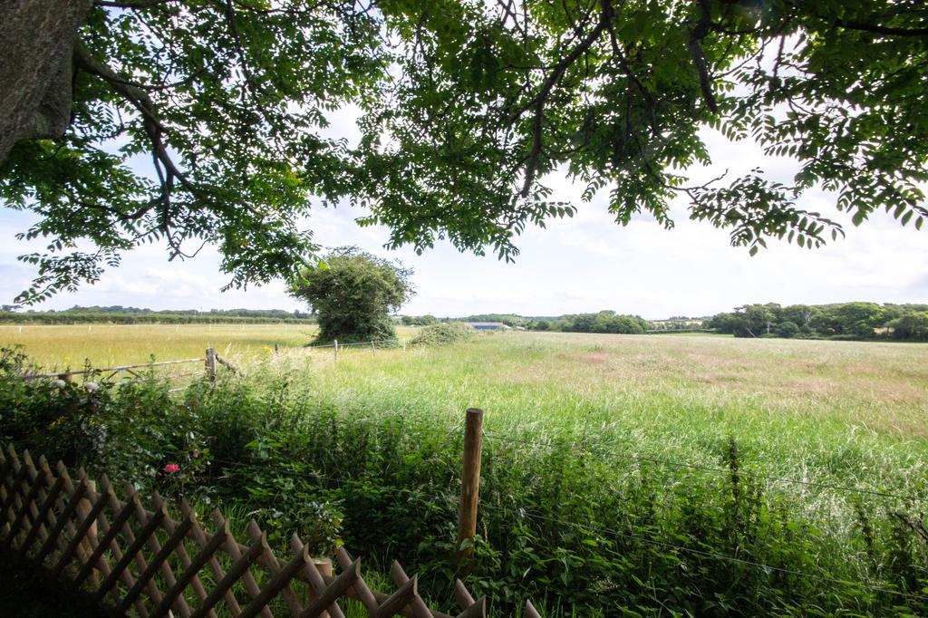 Views Over Fields