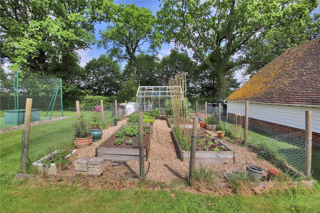 Vegetable Garden