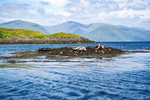 undefined, Lismore, Oban, Argyll and Bute, PA34