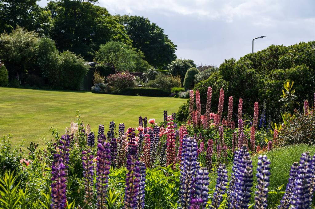 Communal Garden