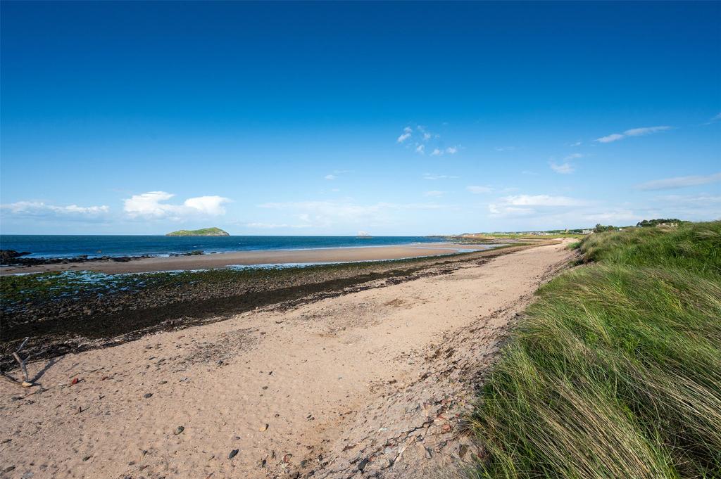 Local Beach
