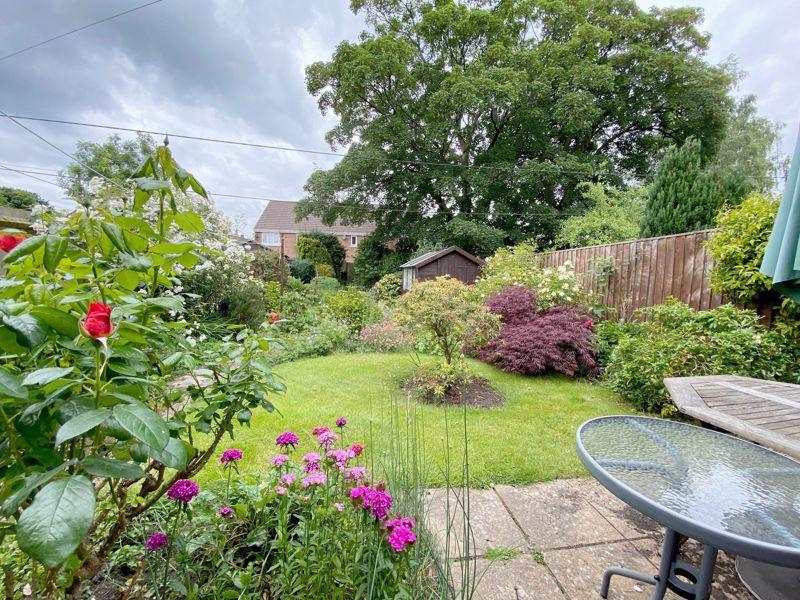 The Rear Garden