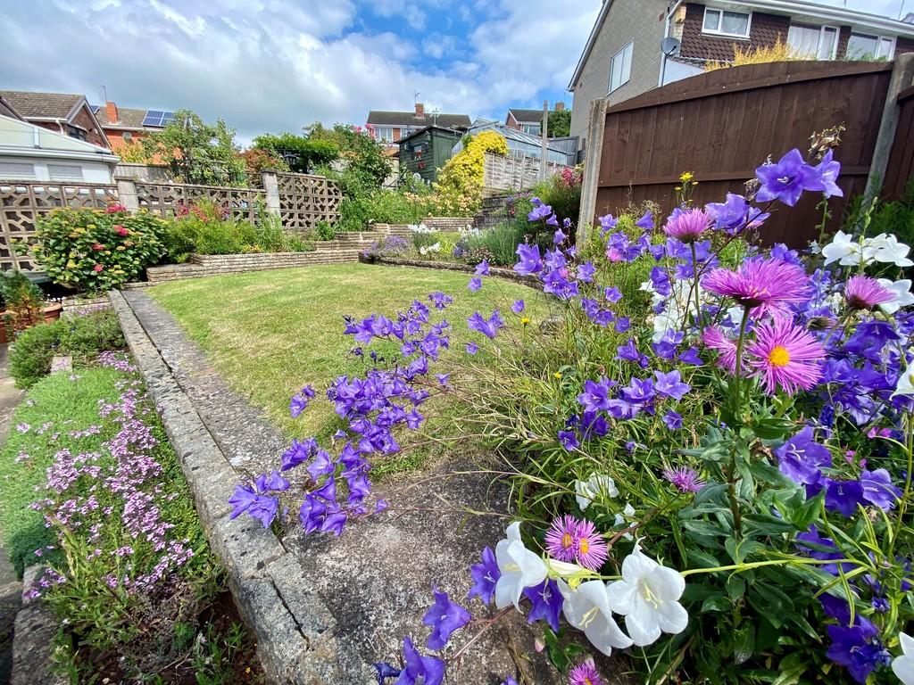 Garden 2