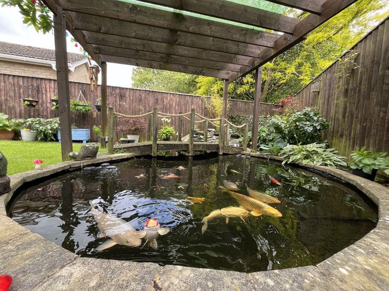 Ornamental fish pond