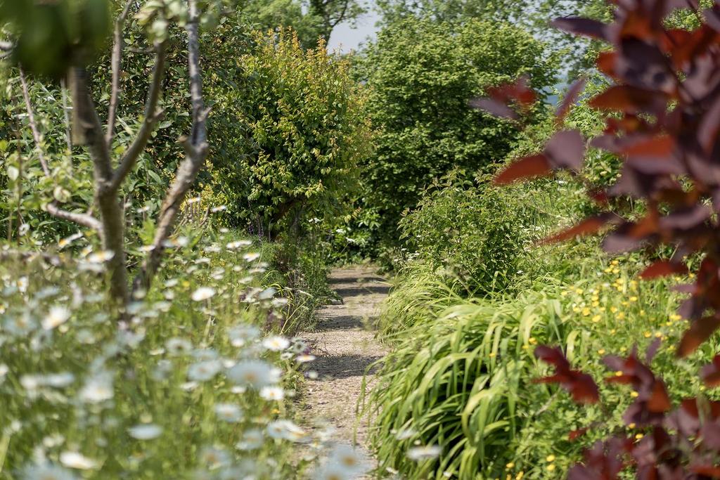 Fairacre.66.jpg