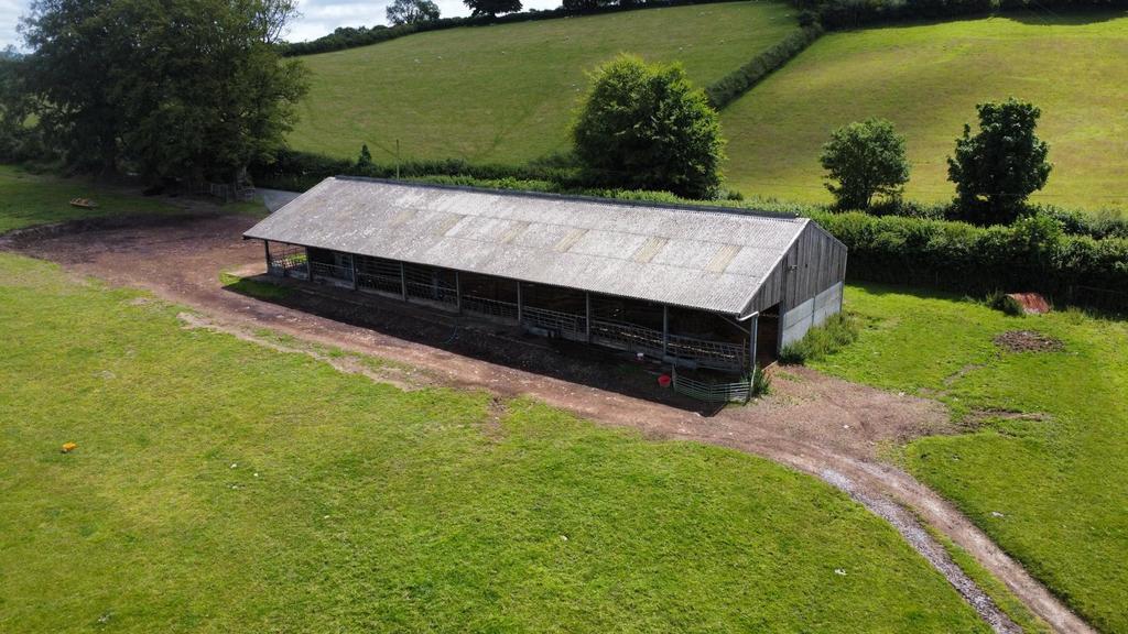 Cattle Shed