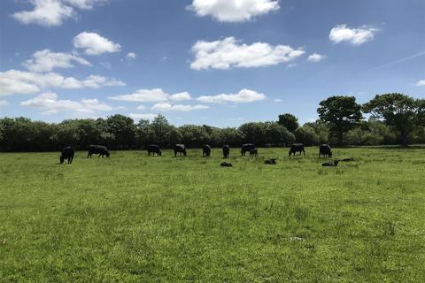 Land for sale, Lampeter Velfrey, Narberth