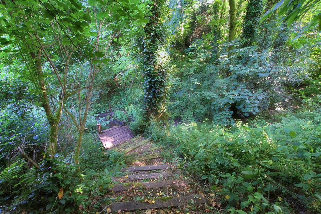 Woodland views and path