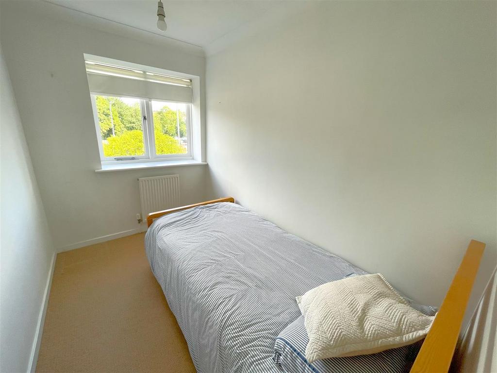 IMG 0709.jpg
