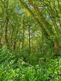 Land for sale, Ridge Lane, Meopham, Gravesend, Kent