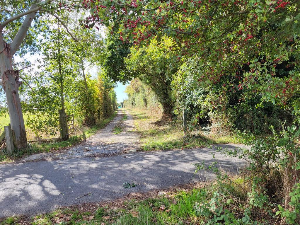 Lane entrance to land at rear