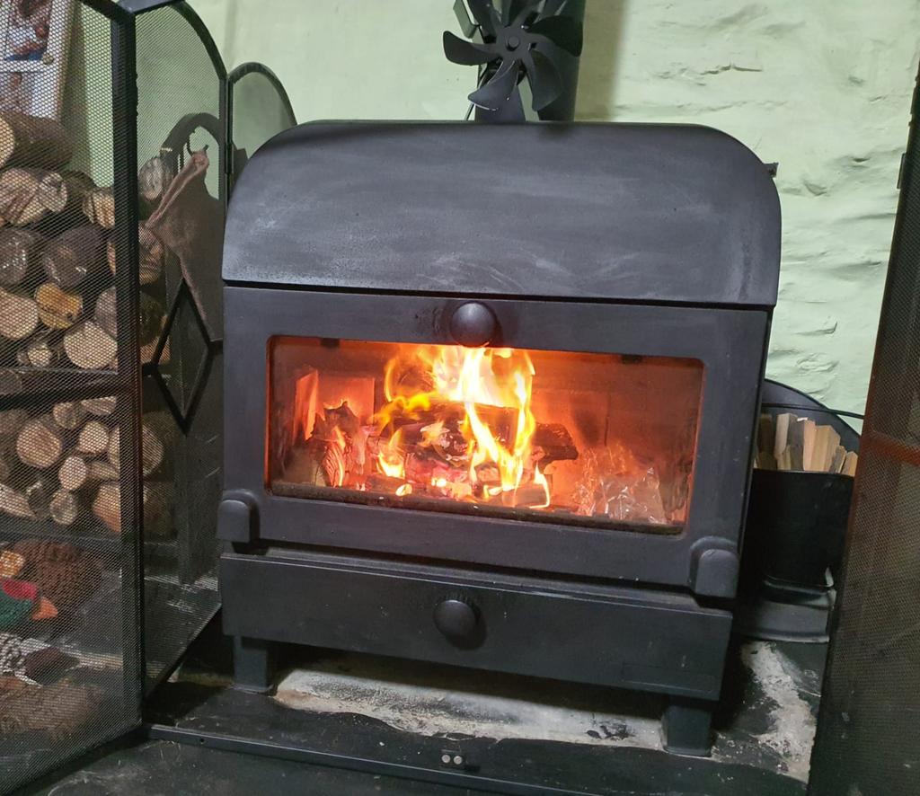 Working log fire
