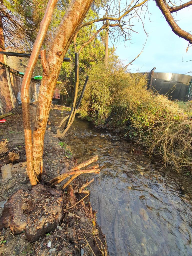 Small stream