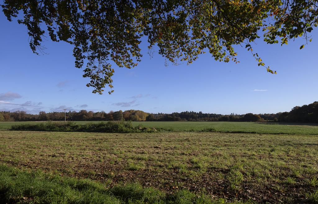 Land