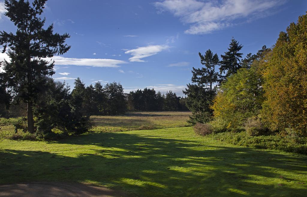 Grounds