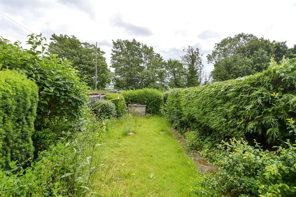 Rear Garden (Original)