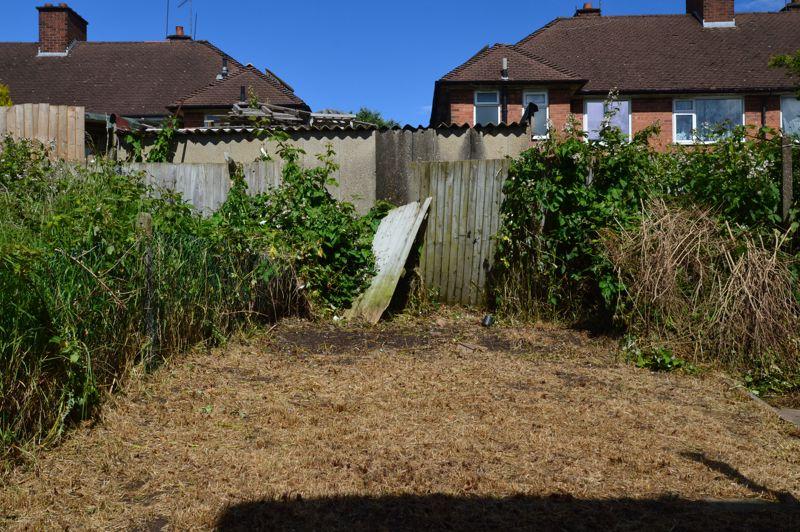 Back garden