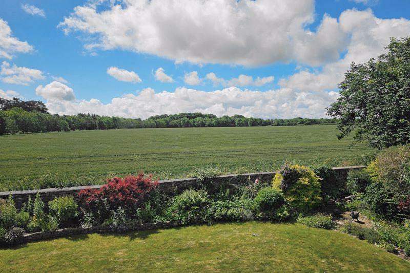 Rural views