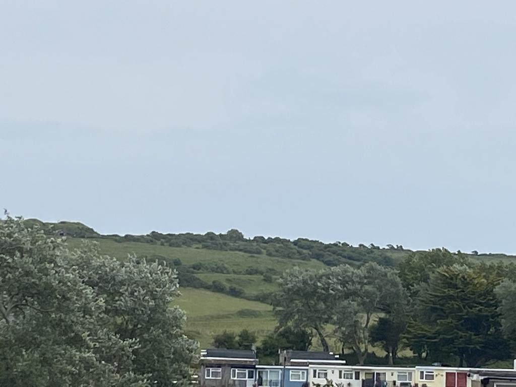 Img 1510