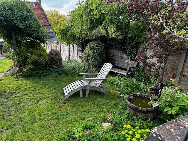 Chair in garden.jpg